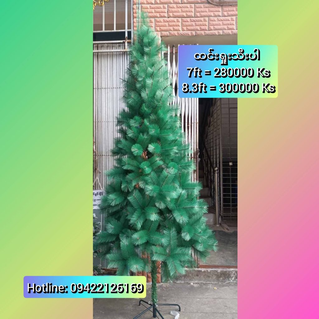 Buy Christmas Tree & Santa Claus