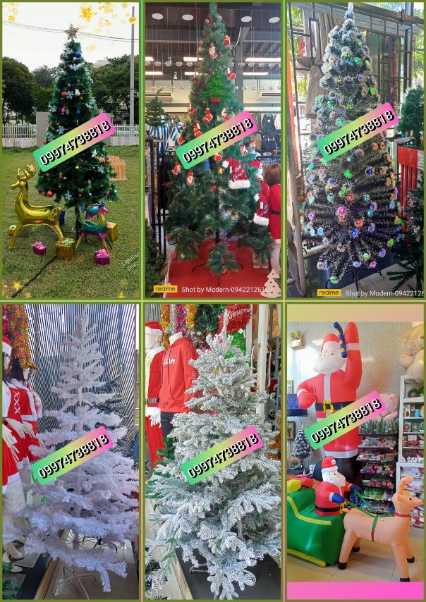 Christmas Decoration, Buy Christmas Tree, Christmas Lights, Santa Claus, Garlands, Christmas Designs